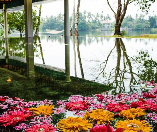 Отель Cranganor History Cafe Riverside Chateau