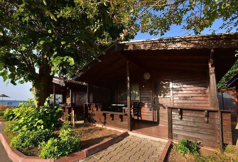 호텔 Inebolu Gardenya