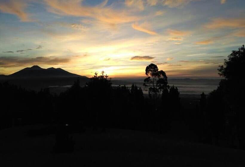 호텔 Javana Spa & Resort