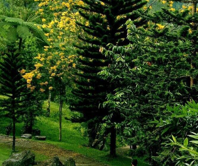 호텔 Javana Spa & Resort