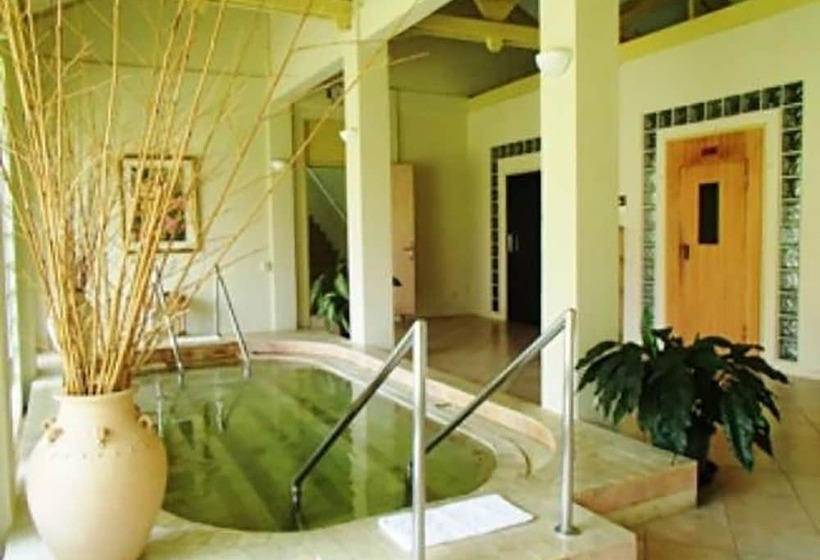 Отель Javana Spa & Resort