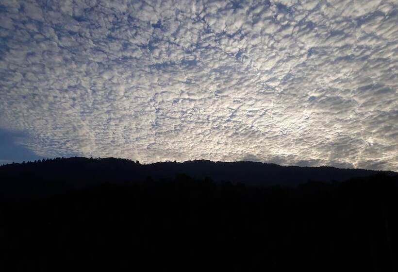 Отель Luminary Lodge