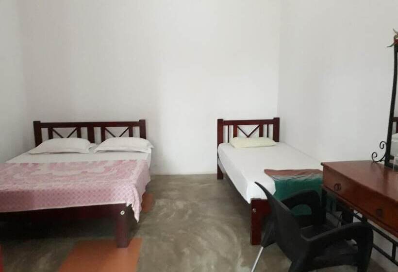 Отель Luminary Lodge