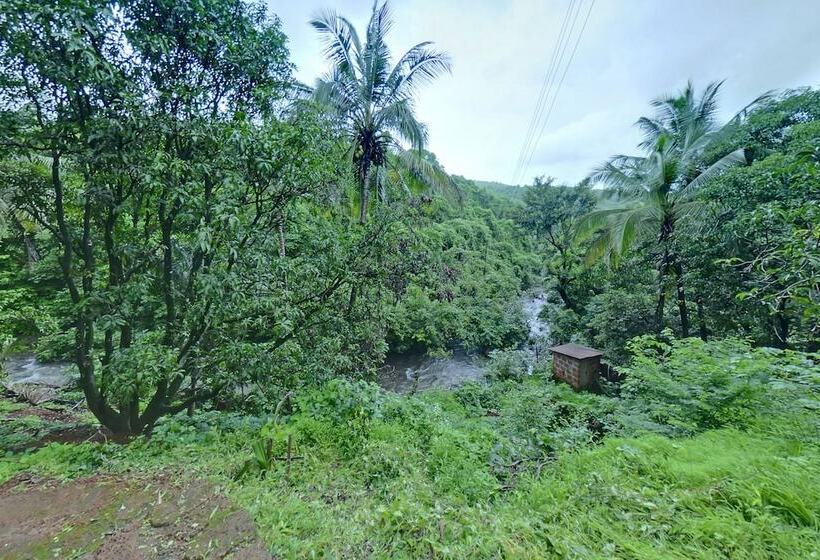 בית מלון כפרי Mango Tree Resort