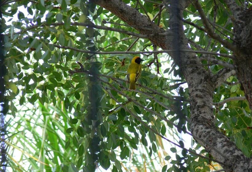 호텔 Modikgweng Lodge