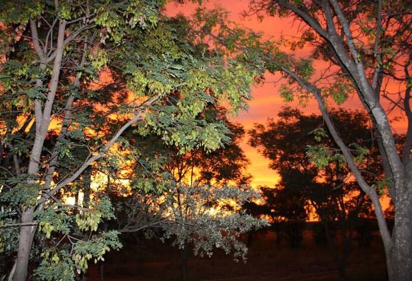 호텔 Modikgweng Lodge