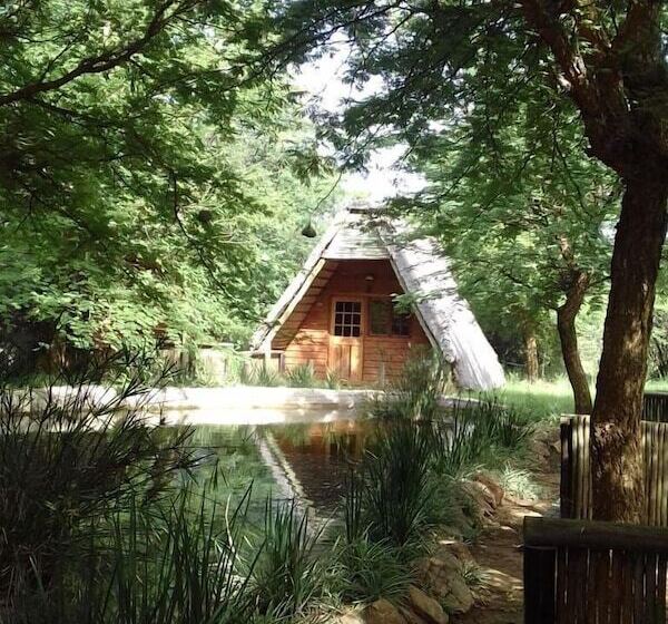 호텔 Modikgweng Lodge