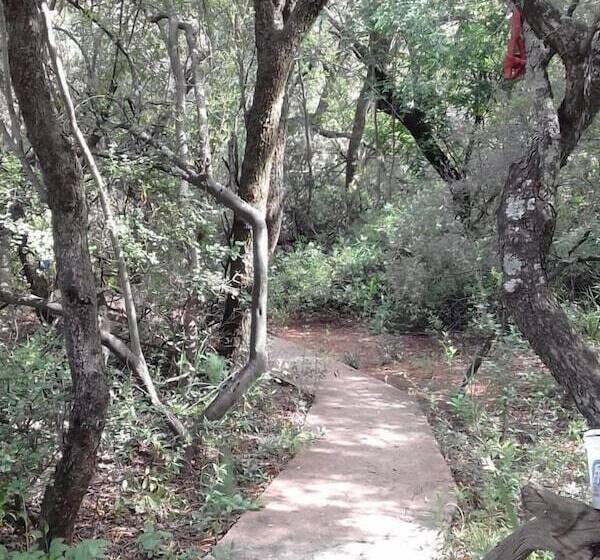 호텔 Modikgweng Lodge