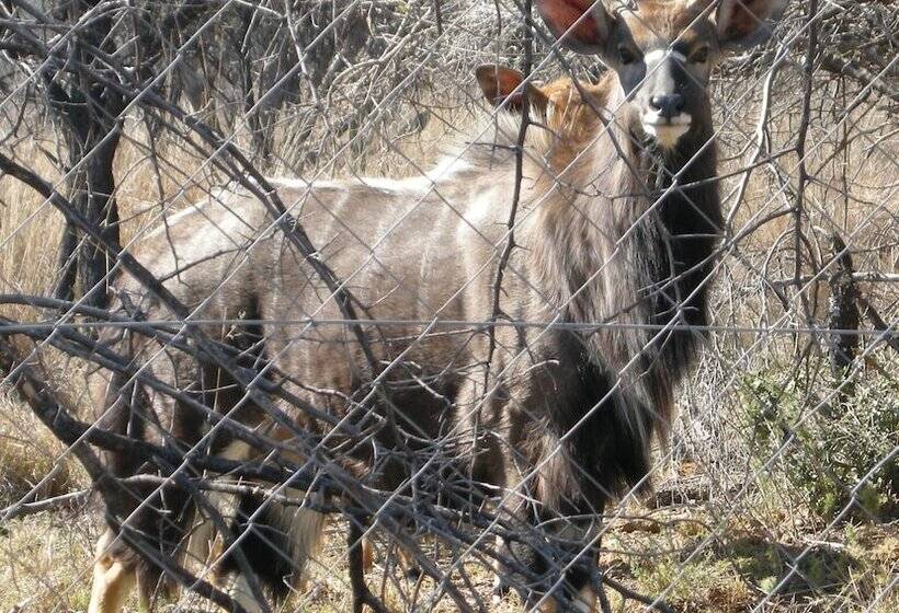 호텔 Modikgweng Lodge