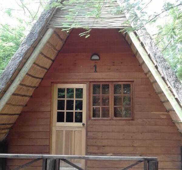 호텔 Modikgweng Lodge