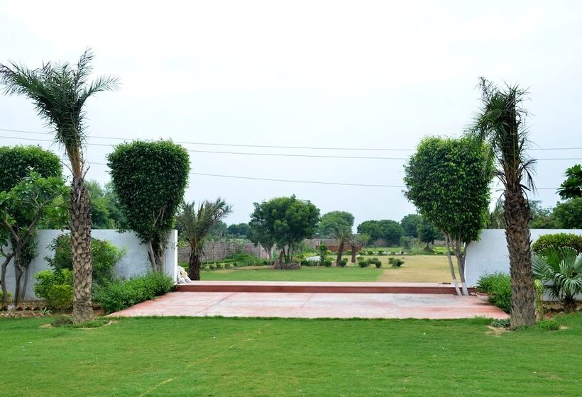 בית מלון כפרי Palm Galaxy