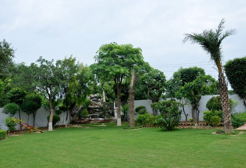 בית מלון כפרי Palm Galaxy