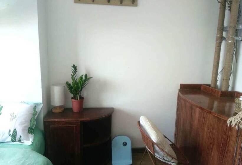 호텔 Qingdao Bobo House Sea View Lodge