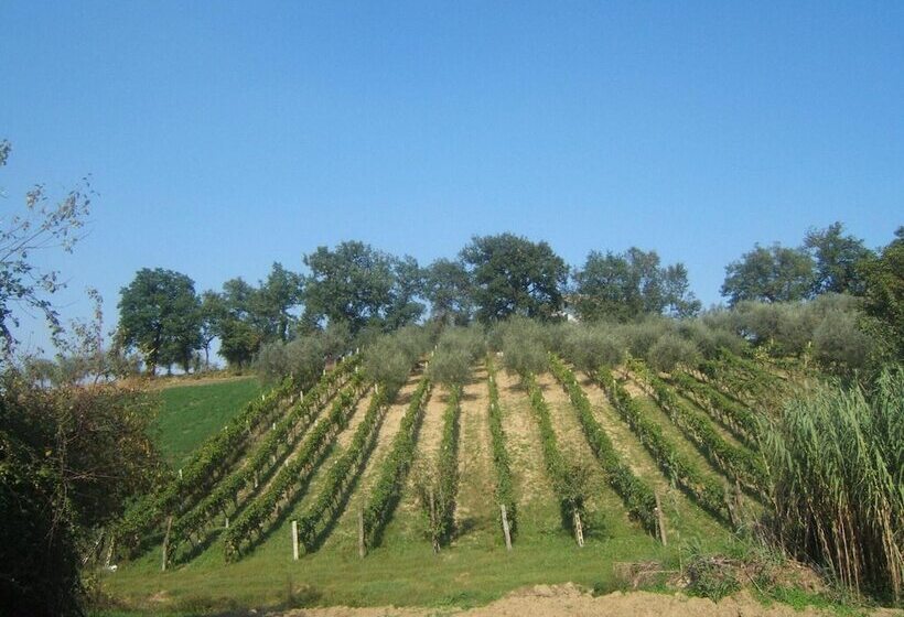 فندق ريفى Agriturismo Il Vecchio Carro
