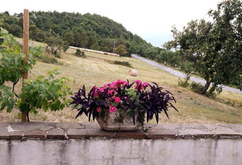 בית מלון כפרי Agriturismo Persichitti