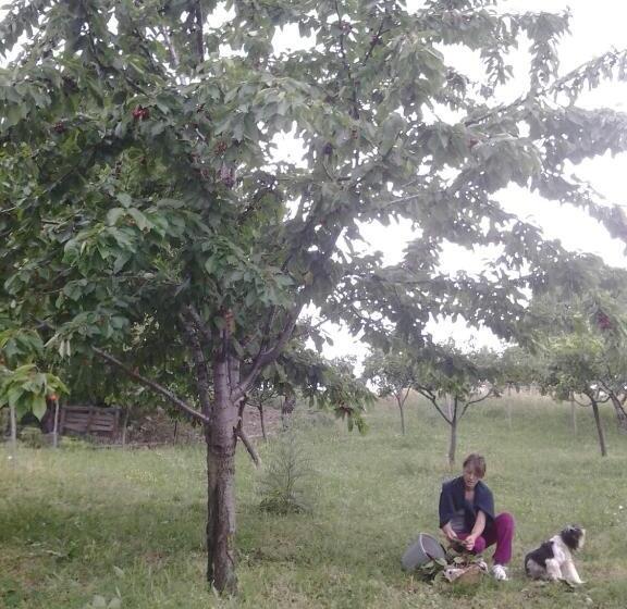 בית מלון כפרי Agriturismo Persichitti