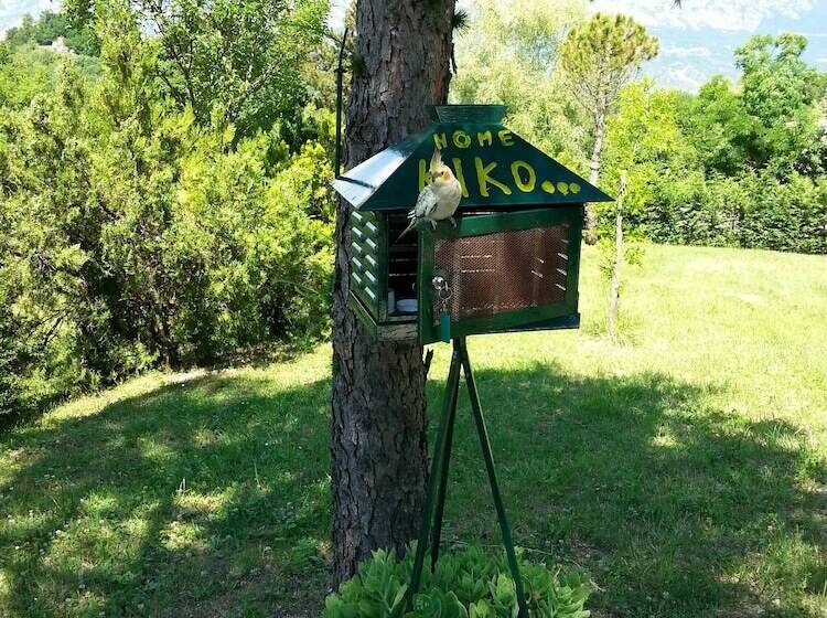בית מלון כפרי Agriturismo Persichitti