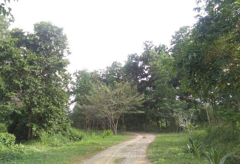 酒店 Tararine Homes