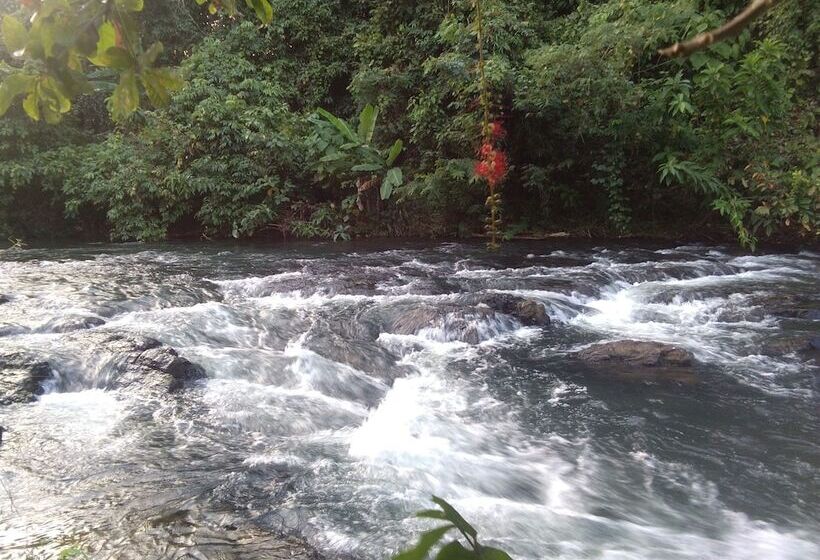 酒店 Tararine Homes