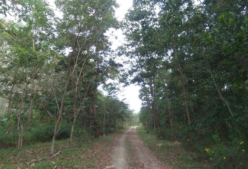 酒店 Tararine Homes