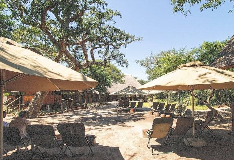 בית מלון כפרי Tembe Elephant Park Lodge