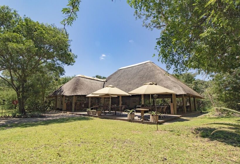 Отель Tembe Elephant Park Lodge