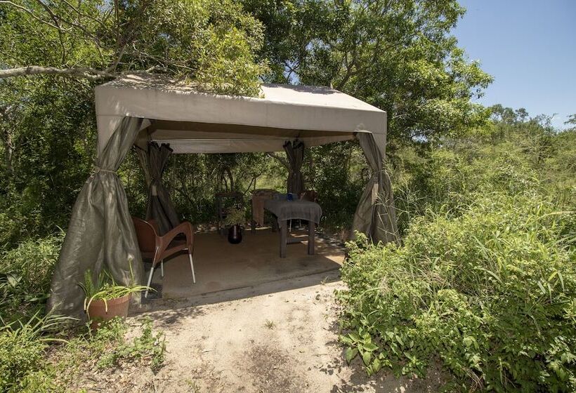 בית מלון כפרי Tembe Elephant Park Lodge