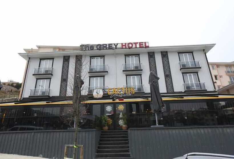 בית מלון כפרי The Grey