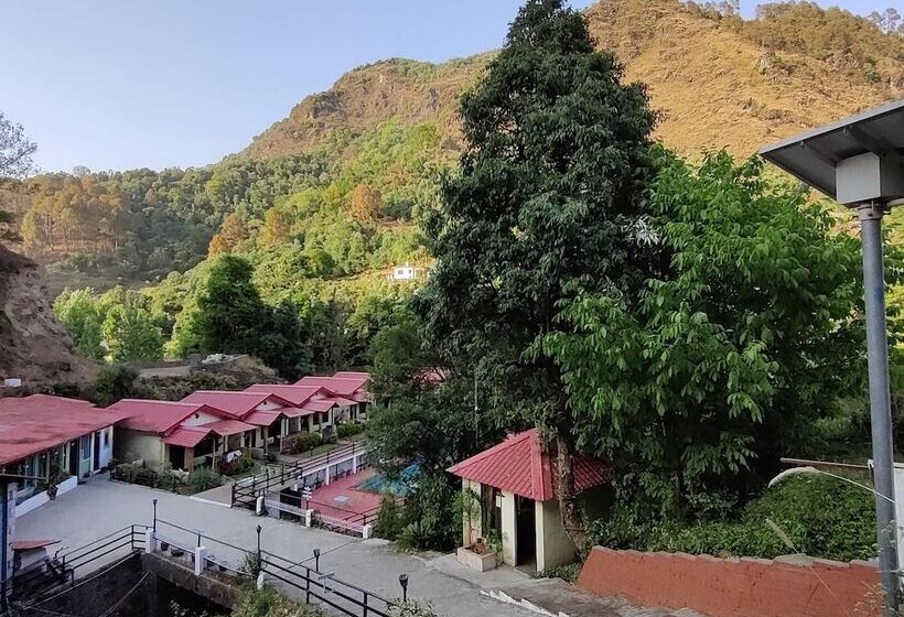 Отель The Jungle Pool By Beyond Stay