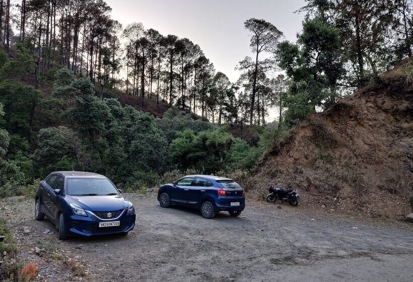 Отель The Jungle Pool By Beyond Stay