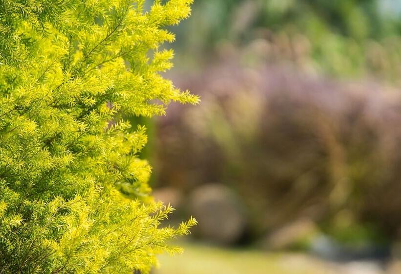 فندق The Natural Garden   Khao Soi Dao