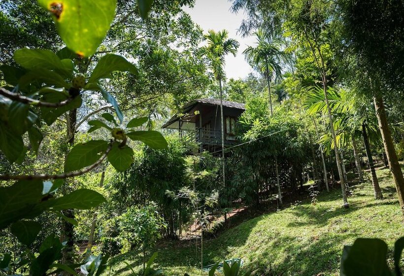 호텔 The Woods Resorts Wayanad