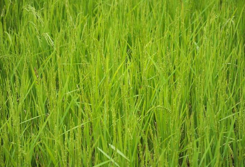 호텔 The Woods Resorts Wayanad