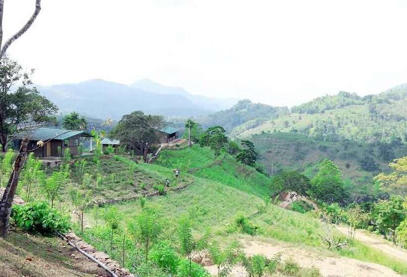 Mount K Resort   Hostel