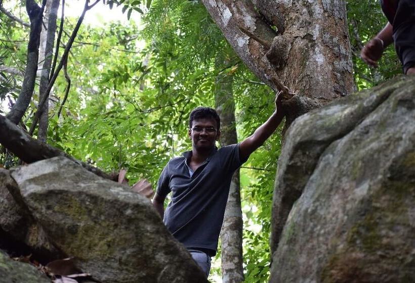 Mount K Resort   Hostel