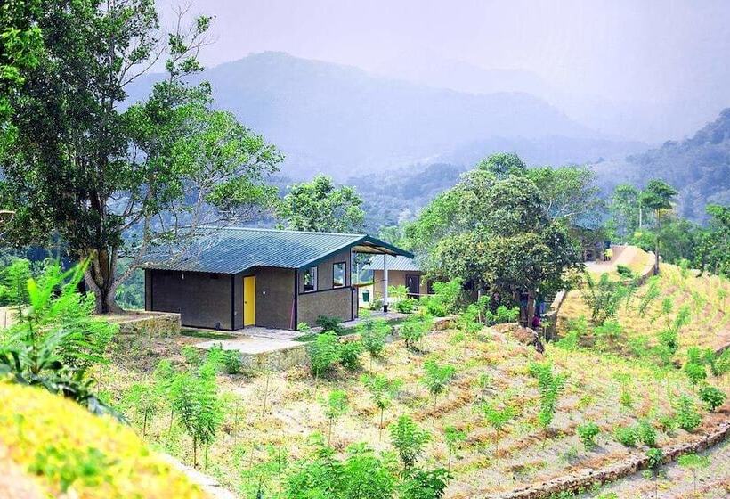Mount K Resort   Hostel