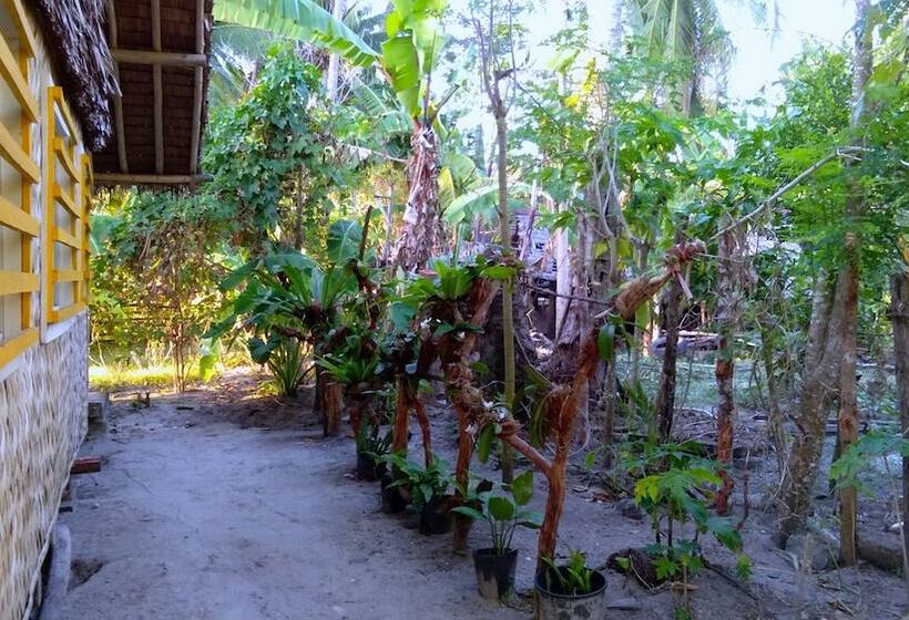 پانسیون Acuario Beach Inn