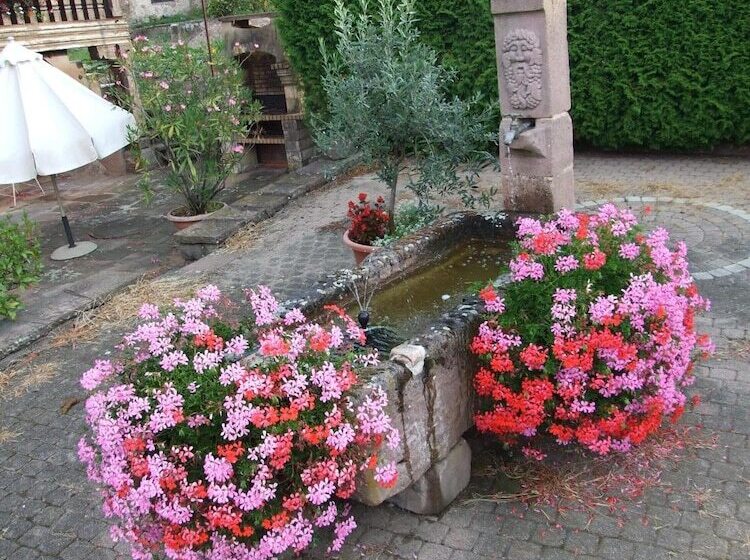 بنسيون Chambre D Hôtes Au Vigneron