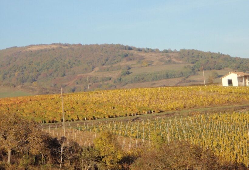 膳宿费 Domaine Des Fonterouilles