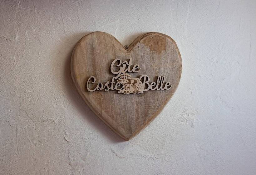 פנסיון Gîtes Coste Belle Et Costillon
