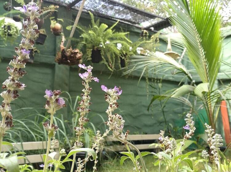 Пансион Hi Bangkok B&b