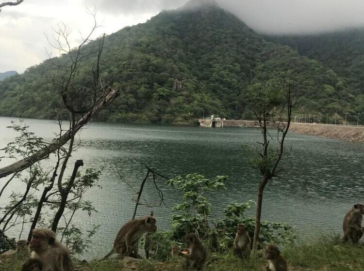 פנסיון Iquest Colombo