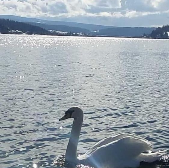 Пансион L Ecrin Du Lac