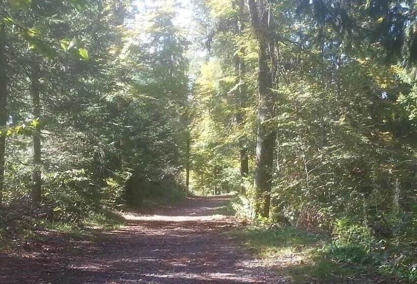 Пансион L Ecrin Du Lac