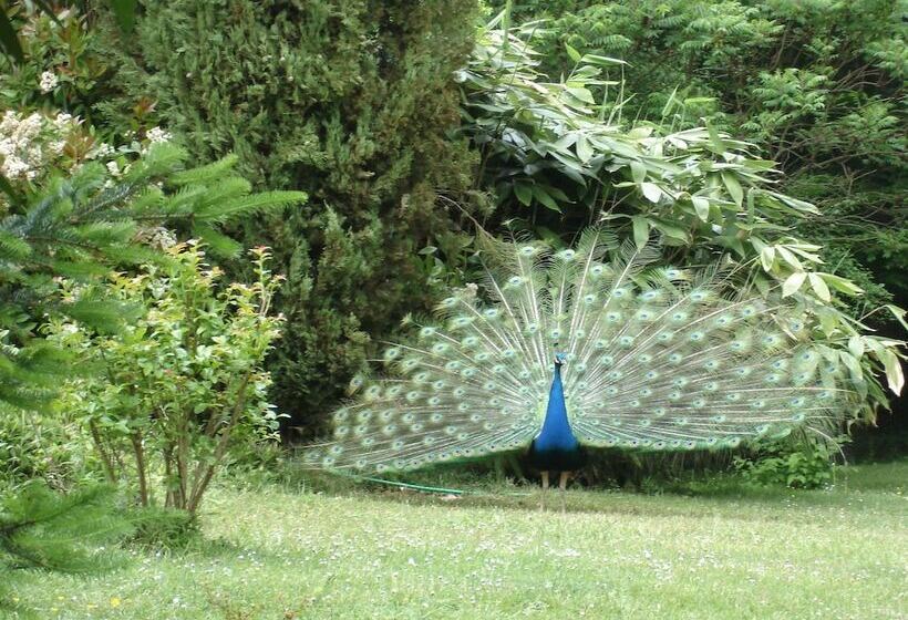 ペンション La Faisanderie