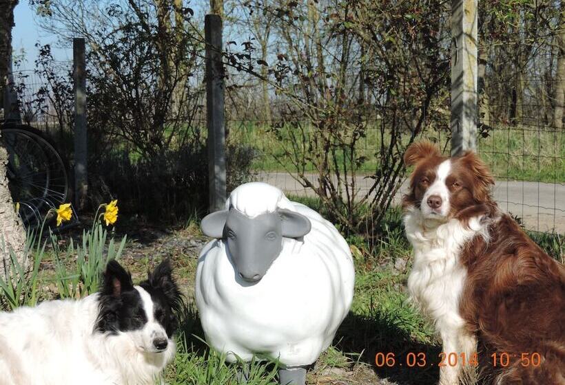 ペンション Le Mouton