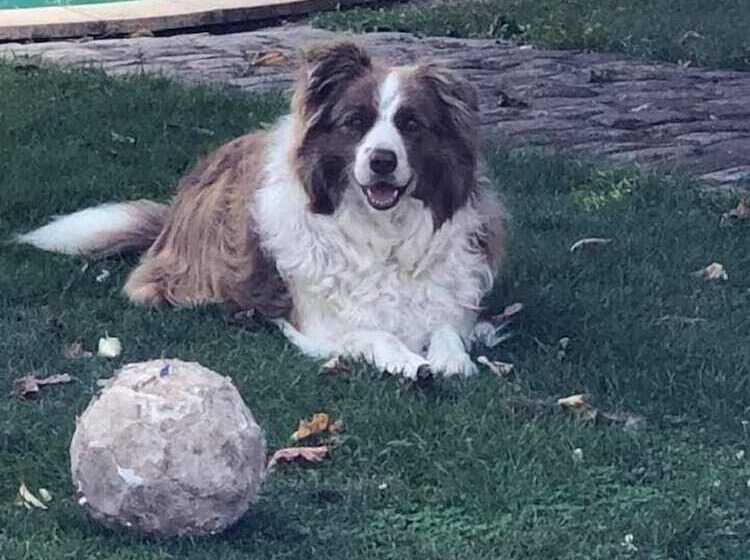 ペンション Le Mouton