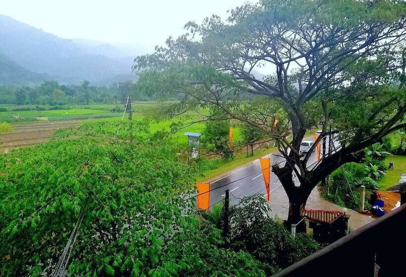 膳宿费 Lion Nature