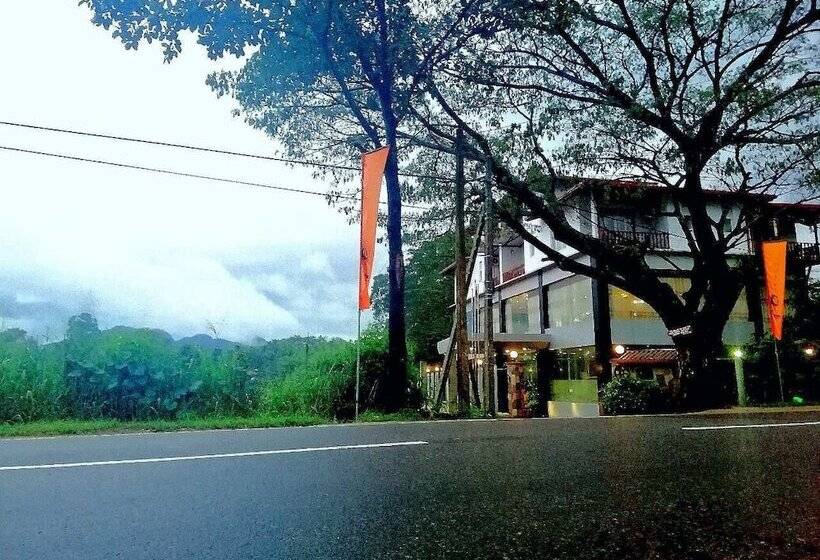 膳宿费 Lion Nature