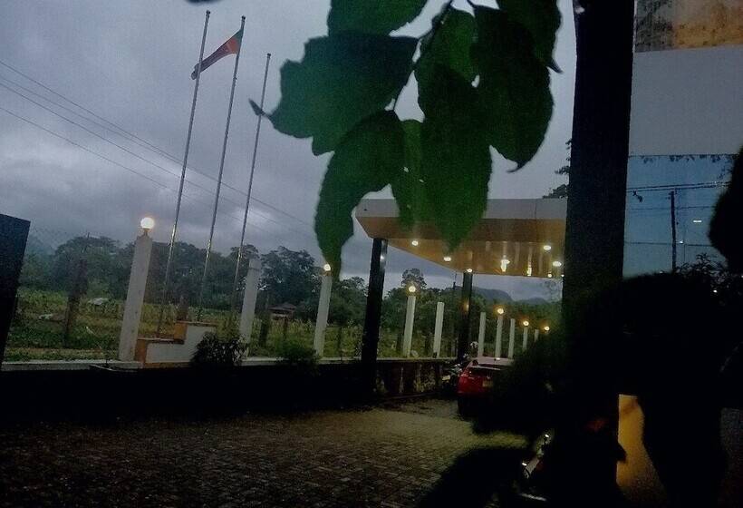 膳宿费 Lion Nature